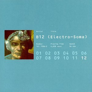 b12_electrosoma.jpg