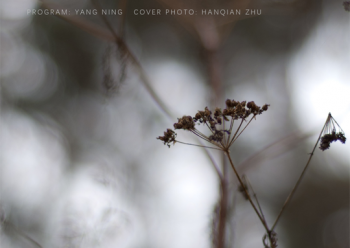 都是诉诸直觉的音乐