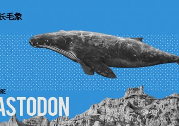 一个“替代商业化社交媒体孤岛的去中心化可行方案，将内容分发渠道的控制权交还给人民“。欢迎您的使用。