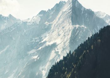 排名无先后。