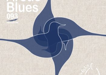 我喜欢这个名字，因为它是芬兰人对美国根源音乐的致敬，但也体现了他们使用这种外来声音来表现本地感情的意愿和能力。