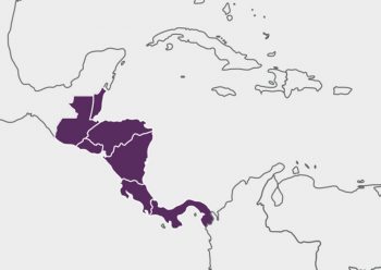 小说在本质上是主观的。作家生活在具体的历史情境中，而小说是作家们想象力的产物，他们从个人的角度、以个人的方式对历史做出回应，跟利益团体的反应未必一样……