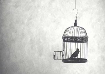 人的意识和行为，包括一些现实生活中常见的概念，看似坚固、指涉明晰，实则非常脆弱，充斥着偶然、多变与无常。