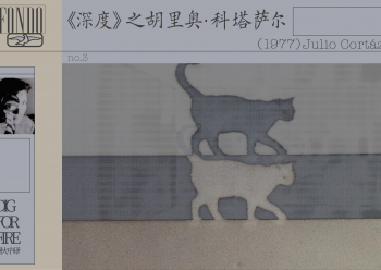 对于鲜少看到书页背后的科塔萨尔的读者来说，这依然是认识会动的、活生生的大克罗诺皮奥的绝佳机会，让人得以一窥作为“人”的他，而科塔萨尔的中译本读者也将了解到他还有多少奇思妙想有待译介。